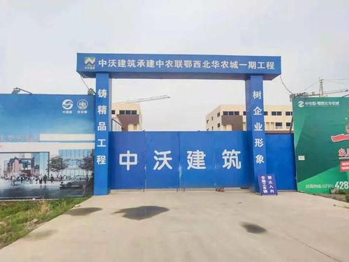 中農聯皖東南涇縣農產品批發市場盛大開工，助力區域農業產業升級